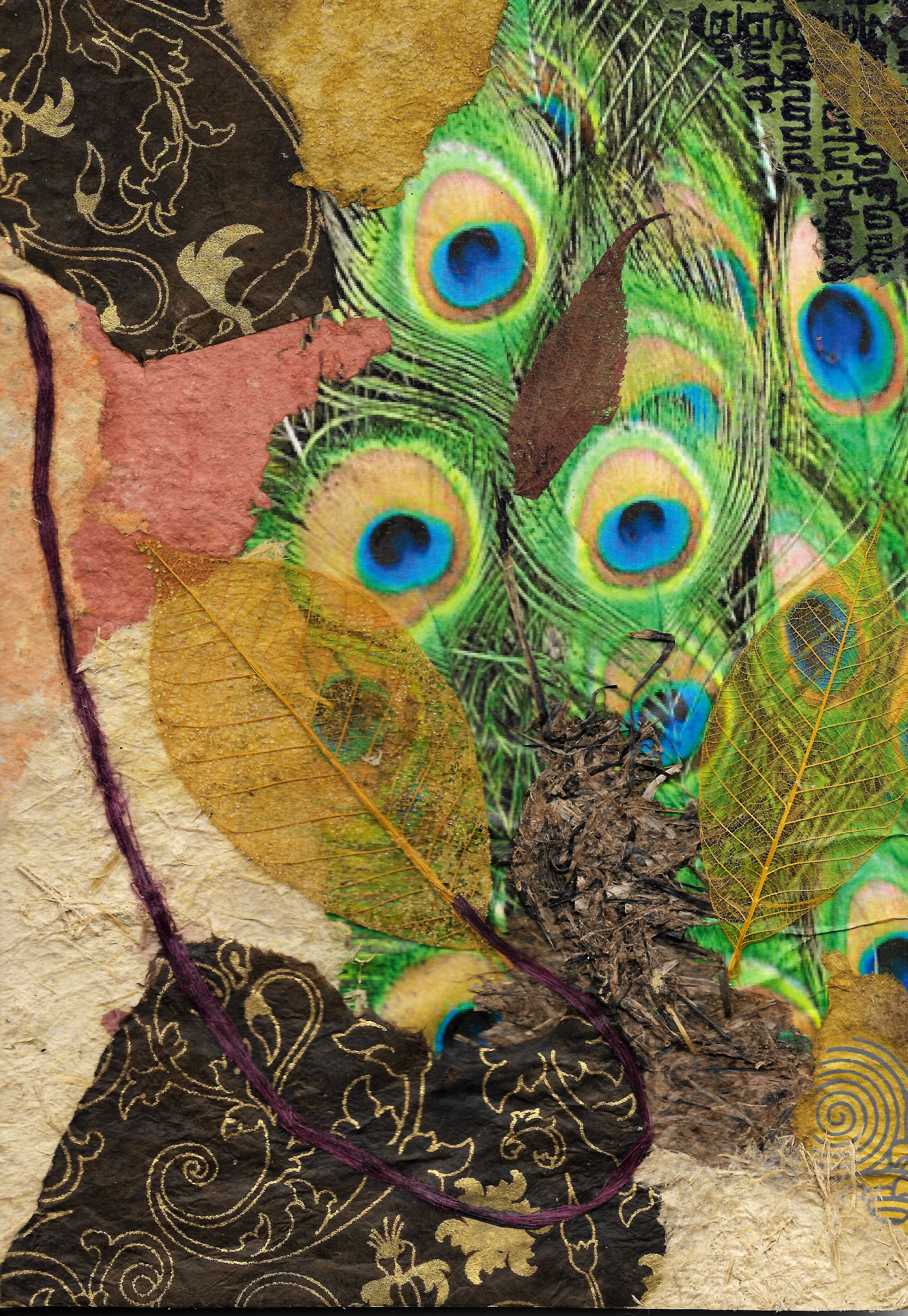 CARNET PLUMES PAON - 2.jpg