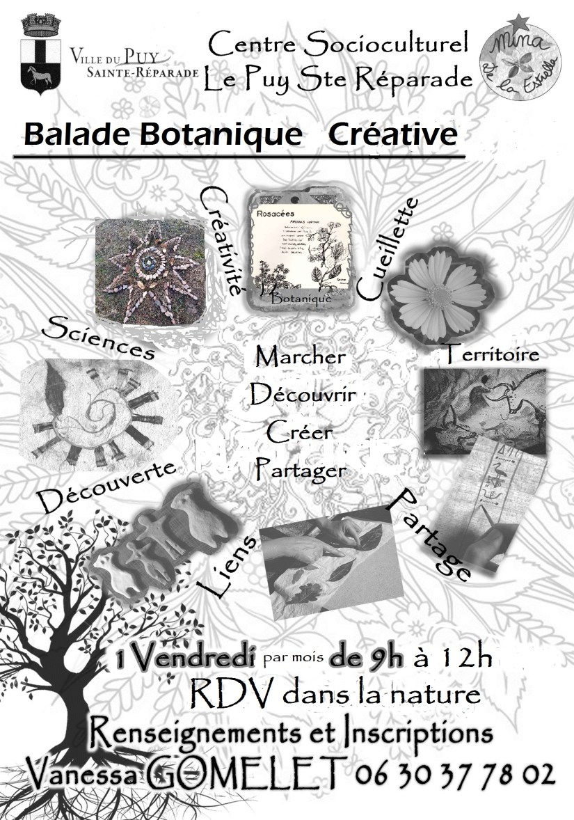 Flyer Balade Botanique Créative CSC Le Puy V Gomelet