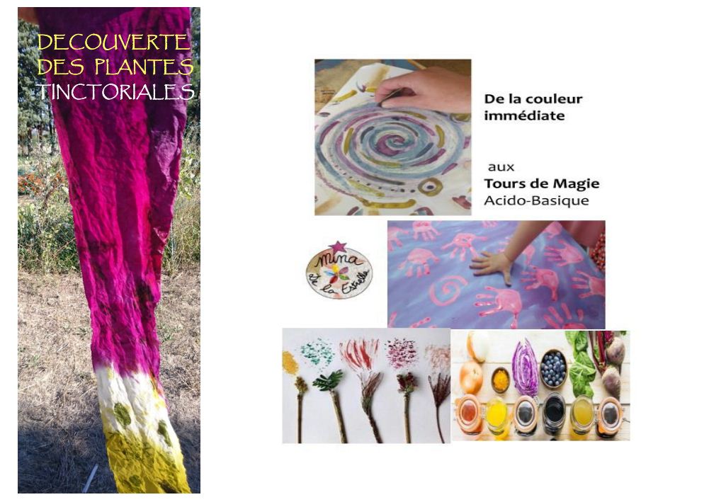 Atelier Couleurs Naturelles Garriguette